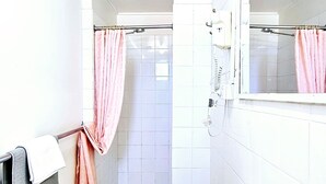 Een badkamer met een douche, een wastafel en een spiegel.