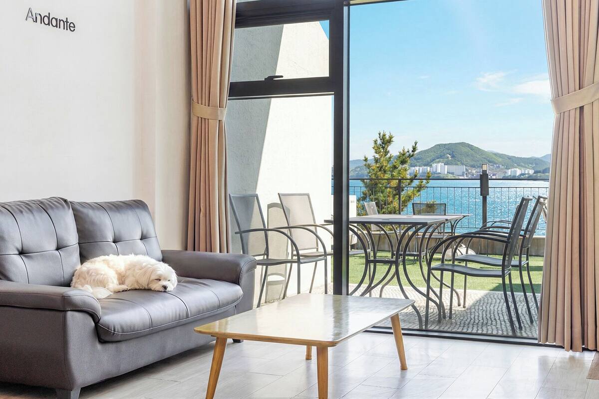 A grey sofa with a small white dog, a wooden coffee table, and a view of a balcony with outdoor furniture.