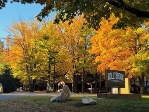 Property grounds - DollyBrook Resort  - 9 Cottages - Room for 50 Guests (Fennville)