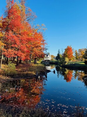 Miscellaneous - DollyBrook Resort  - 9 Cottages - Room for 50 Guests (Fennville)