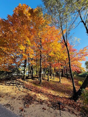 Miscellaneous - DollyBrook Resort  - 9 Cottages - Room for 50 Guests (Fennville)