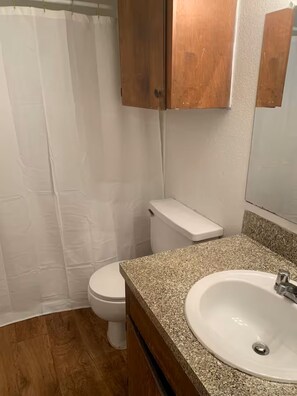 Bathroom - Cozy 1-bedroom apartment in peaceful Austin with AC (Austin)