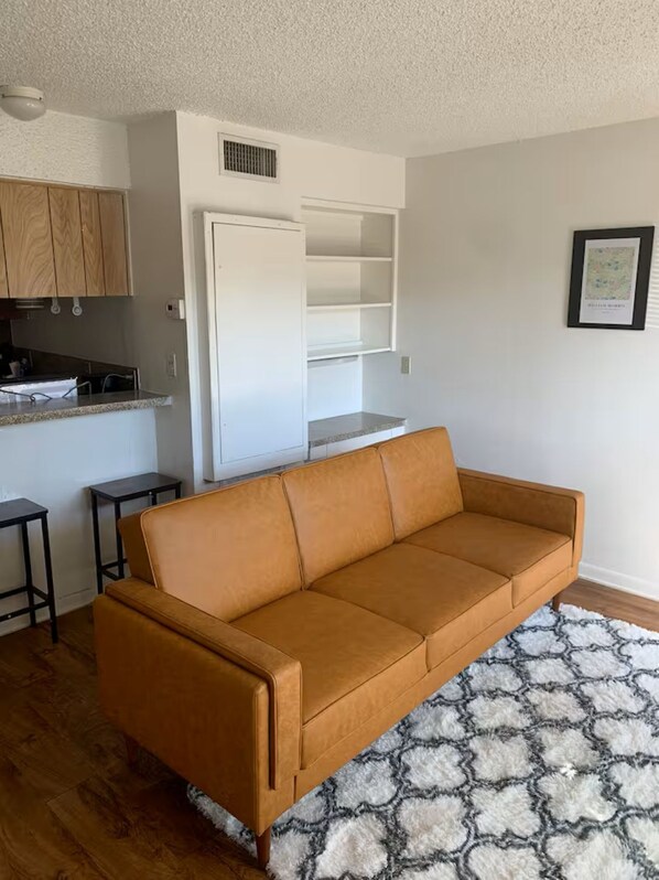 Living area - Peaceful 1-bedrooms apartment with AC in vibrant Austin (Austin)