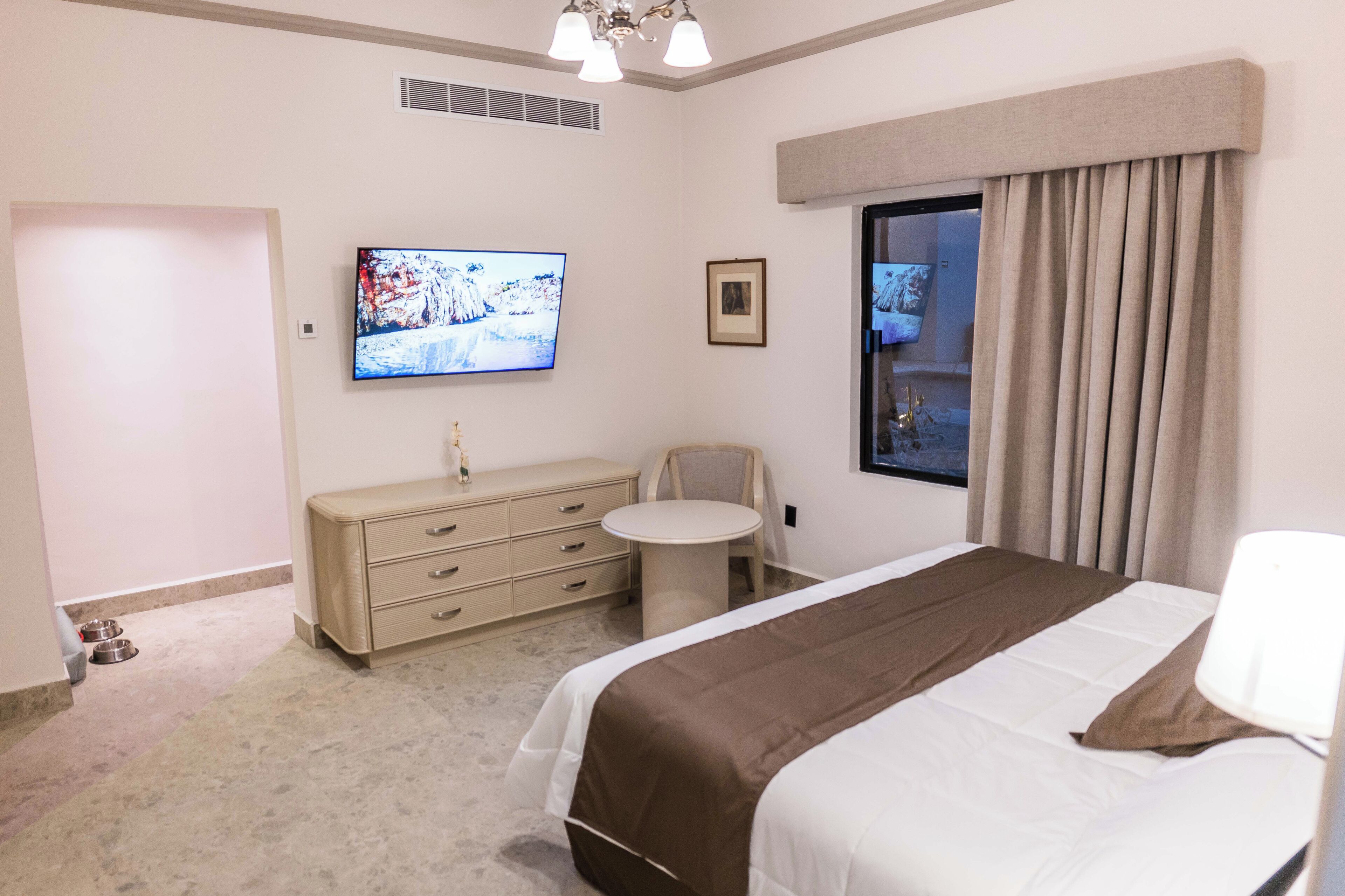 スタンダード シングルルーム ペットとの宿泊可