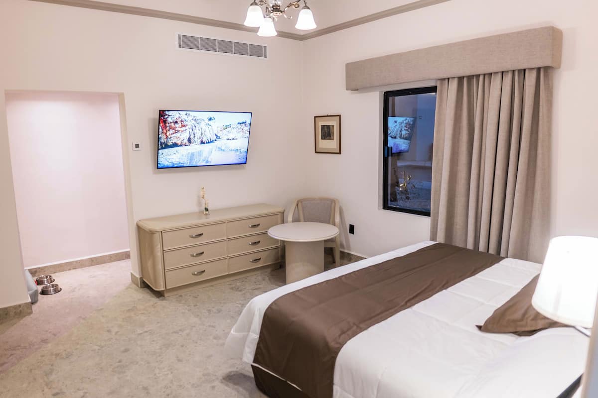 A hotel room with a bed, a television, a small table, a chair, and a window with curtains.