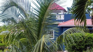 Ein Garten mit Palmen, ein blaues Gebäude mit rotem Dach und einem Steinweg.