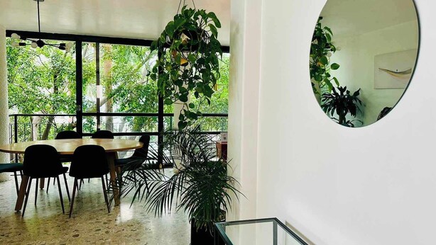 Comedor con una mesa, sillas, ventanas amplias y una planta colgante.