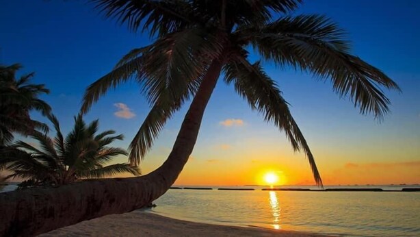 A sunset over a beach with palm trees. - Elene Hotel (Phu Quoc)