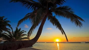 Family Room, Balcony, Courtyard View | Beach