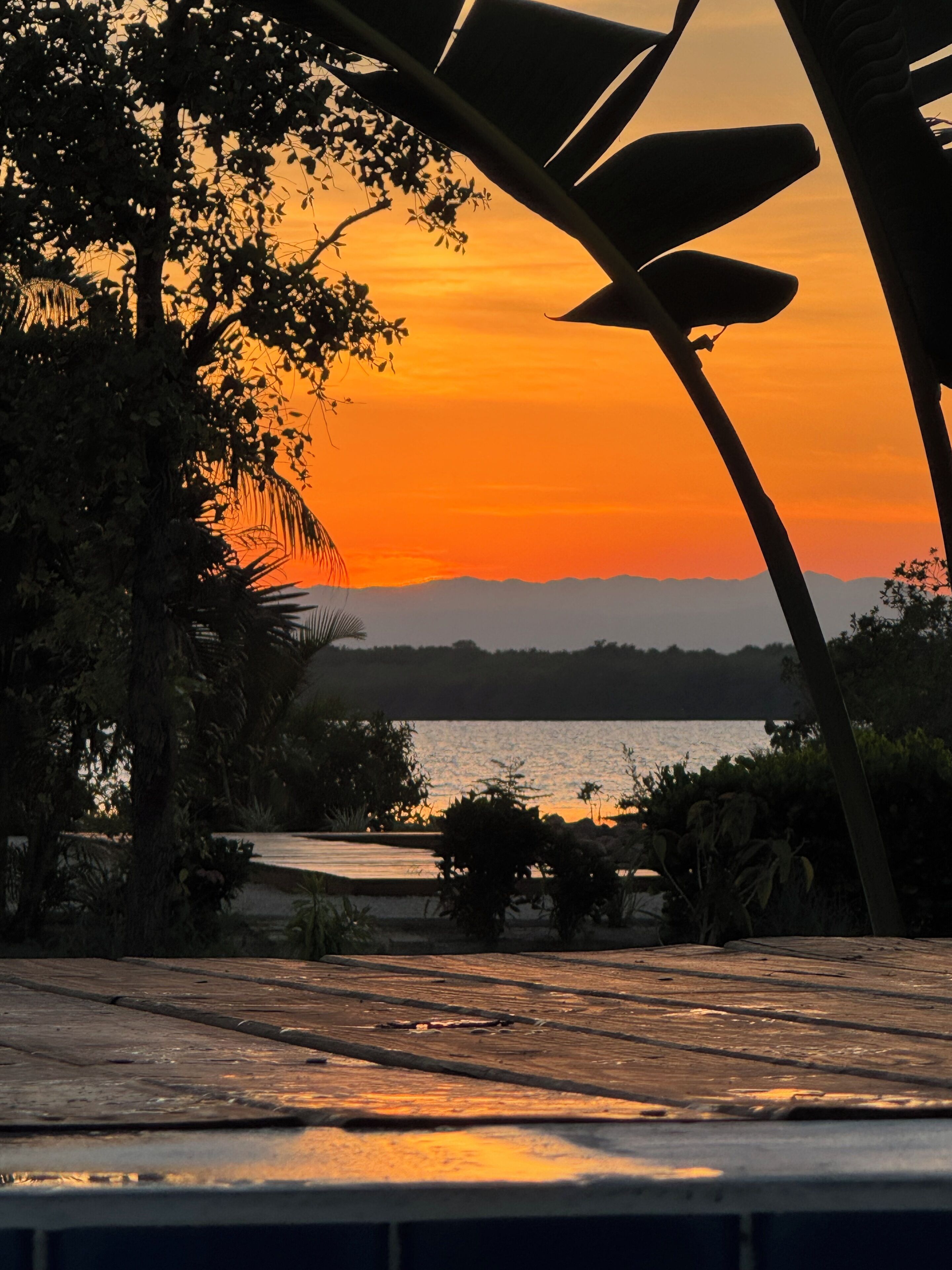 A sunset view with a body of water, trees, and a distant mountain range.