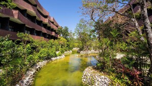 A hotel with a river running through the garden, surrounded by lush greenery and stone walls. - AMIRA Luxury 3BR PH with Rooftop and private pool (Tulum)