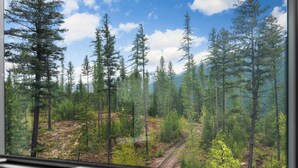 A forested landscape through a window.