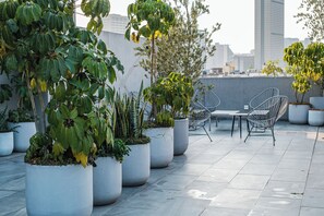 Terrace/patio - Apartment in the heart of the CDMX. (Ciudad de México)