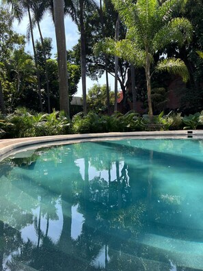 Una piscina cristalina rodeada de exuberante vegetación y altos árboles.
