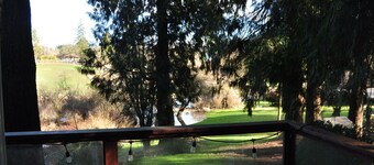 Riverside Forest Cabin Retreat – Peaceful Escape Near FIFA World Cup Action