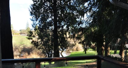 Riverside Forest Cabin Retreat – Peaceful Escape Near FIFA World Cup Action