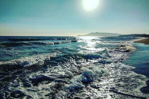 Miscellaneous - Casetta Azzurra Capalbio, Capalbio, Italy (Capalbio)
