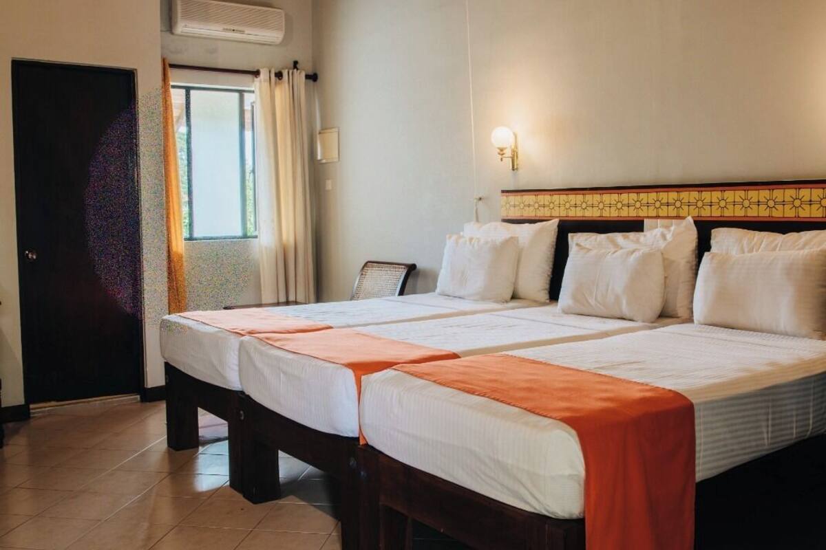 디럭스 트리플룸