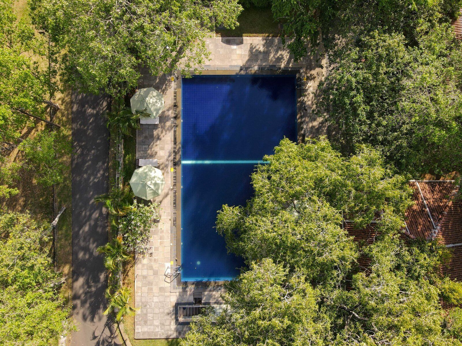 An aerial view of a rectangular swimming pool surrounded by trees, with a paved deck and a few umbrellas.