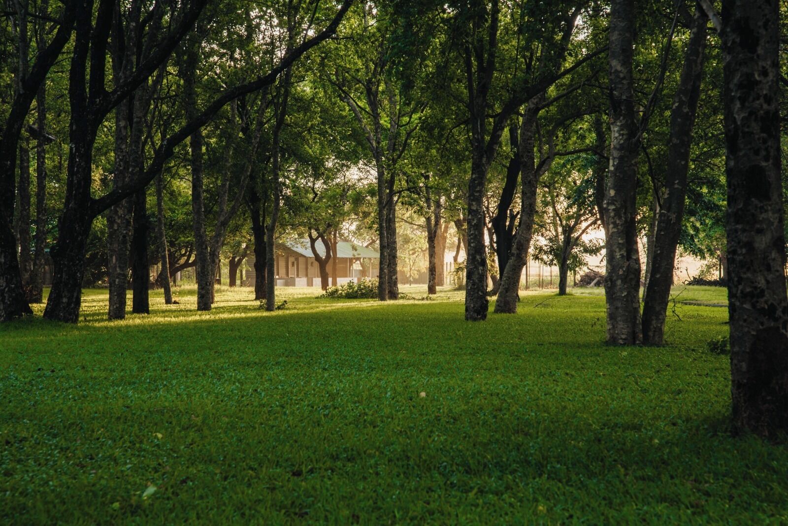 Jardines del alojamiento