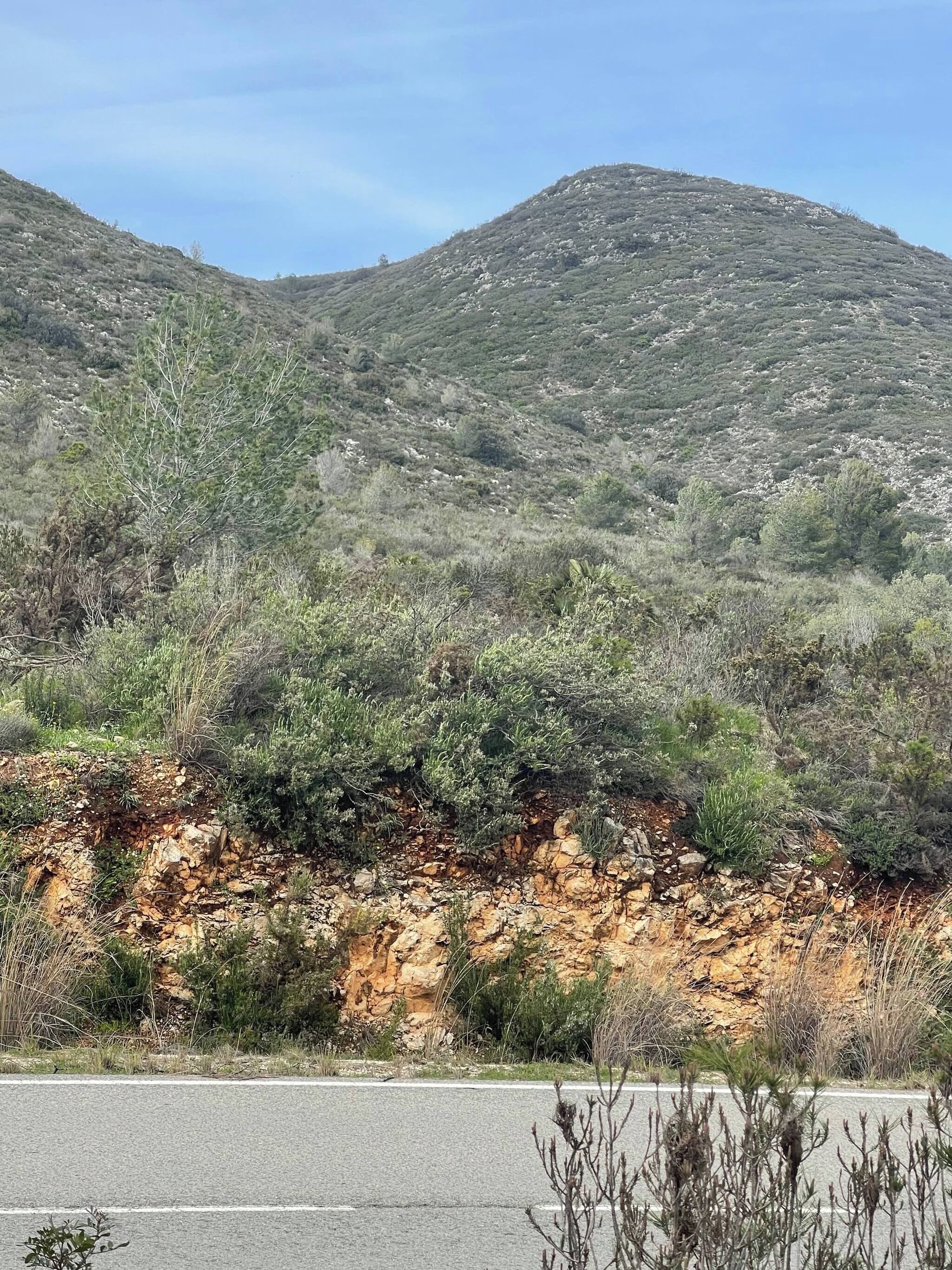 A road with a rocky hillside and sparse vegetation.
