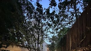 A paved pathway flanked by trees and a stone wall, leading to a building with a modern design. - Hotel Boutique Alma Peregrina (Valladolid)