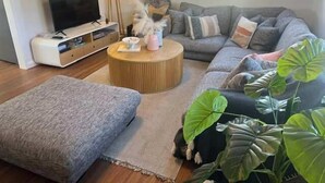A living room with a sofa, a coffee table, a TV, and a plant. - The Nest, Wifi - NO Pets (Robe)