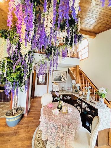 Amazing 6-bedroom mansion, Naperville-Aurora, Bridgerton Inspired.