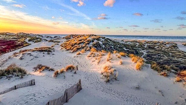 Une plage avec des dunes de sable et une clôture en bois.
