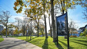 Un parc avec un chemin pavé, des arbres aux feuilles jaunes et une affiche sur un poteau.