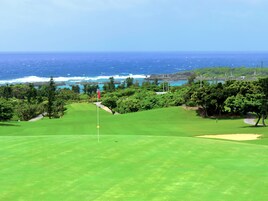 A golf course with a flagstick, sand bunkers, and a view of the ocean.