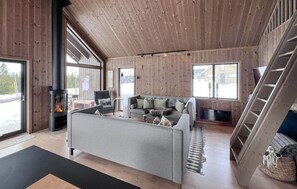 Fernseher, Kamin
