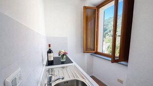 Eine schmale Küche mit einem Edelstahl-Spülbecken, einer Weinflasche und einem Blumenstrauß auf einer schwarzen Arbeitsplatte.