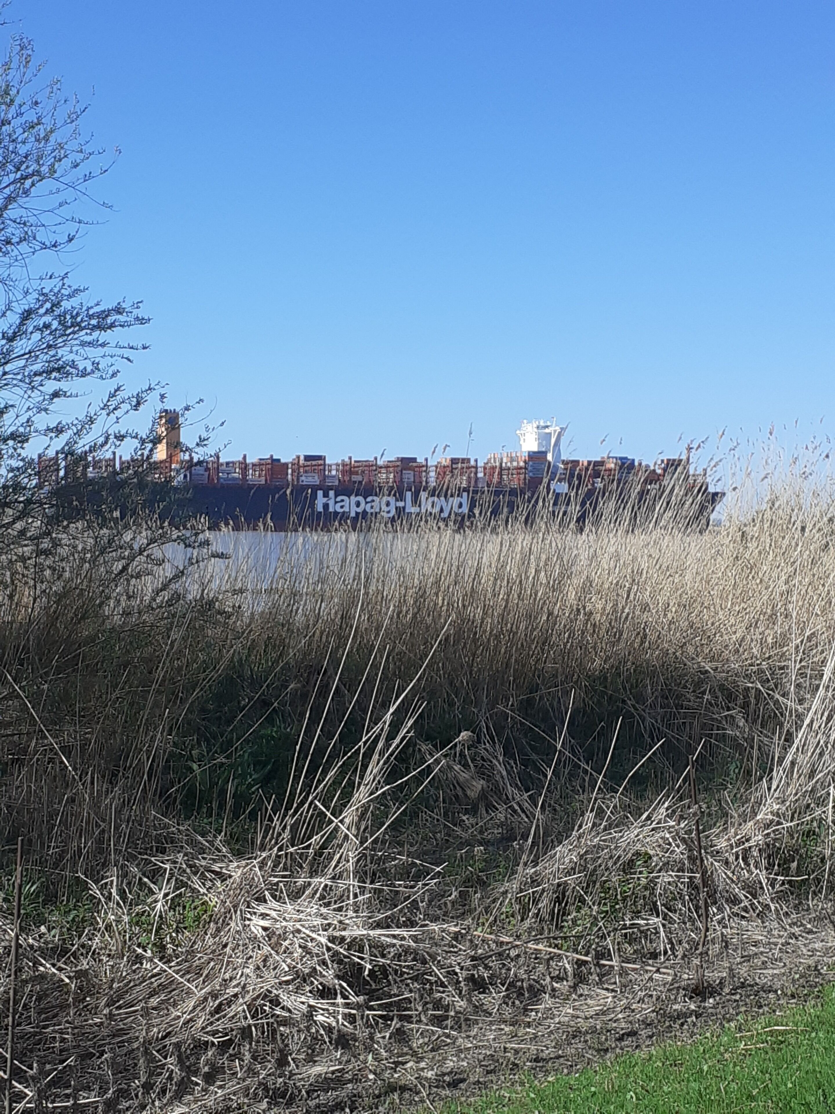 Ein großes Containerschiff mit dem Schriftzug 'Hapag-Lloyd' an der Seite liegt an einem Hafen vor einer trocken bewachsenen Fläche.