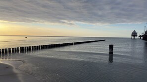 Beach nearby - Vacation home Sandbrise on the Baltic Sea in Zingst (61sqm) for up to 4 people (Zingst)