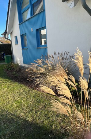 A house with a blue door and windows, surrounded by grass and tall grasses. - Vacation home Sandbrise on the Baltic Sea in Zingst (61sqm) for up to 4 people (Zingst)