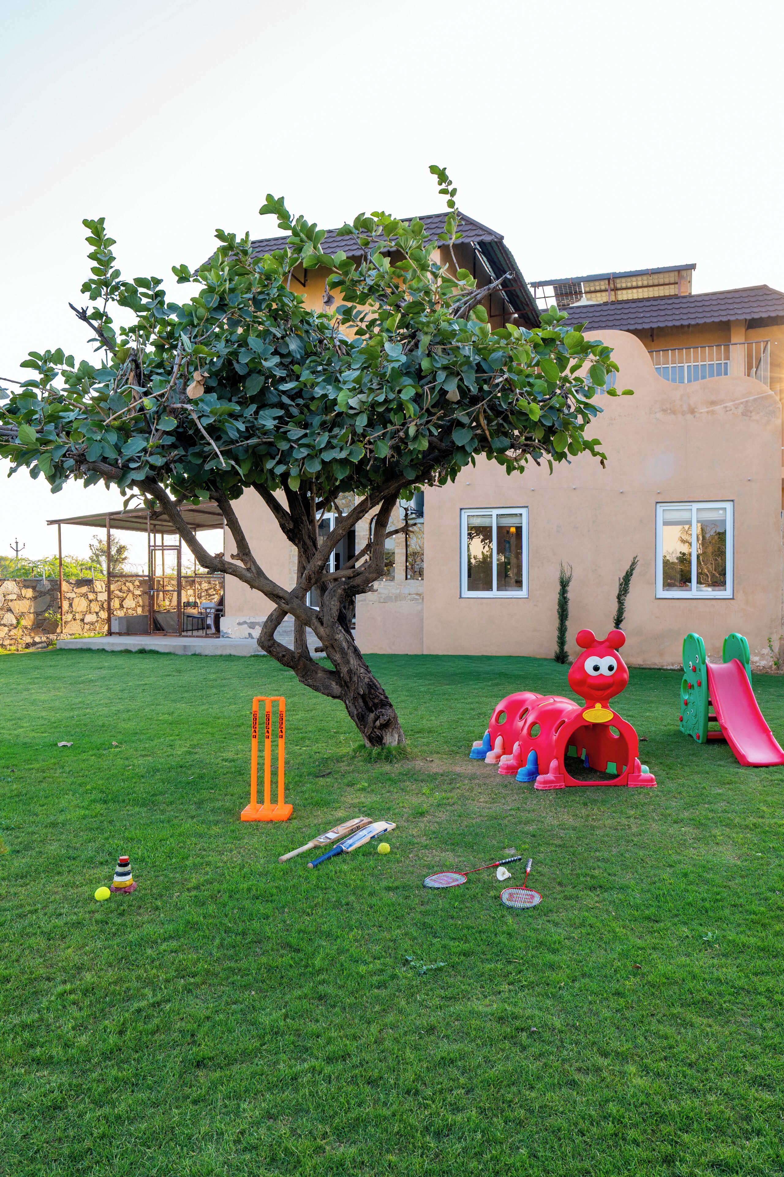 A tree in a backyard with a house in the background.