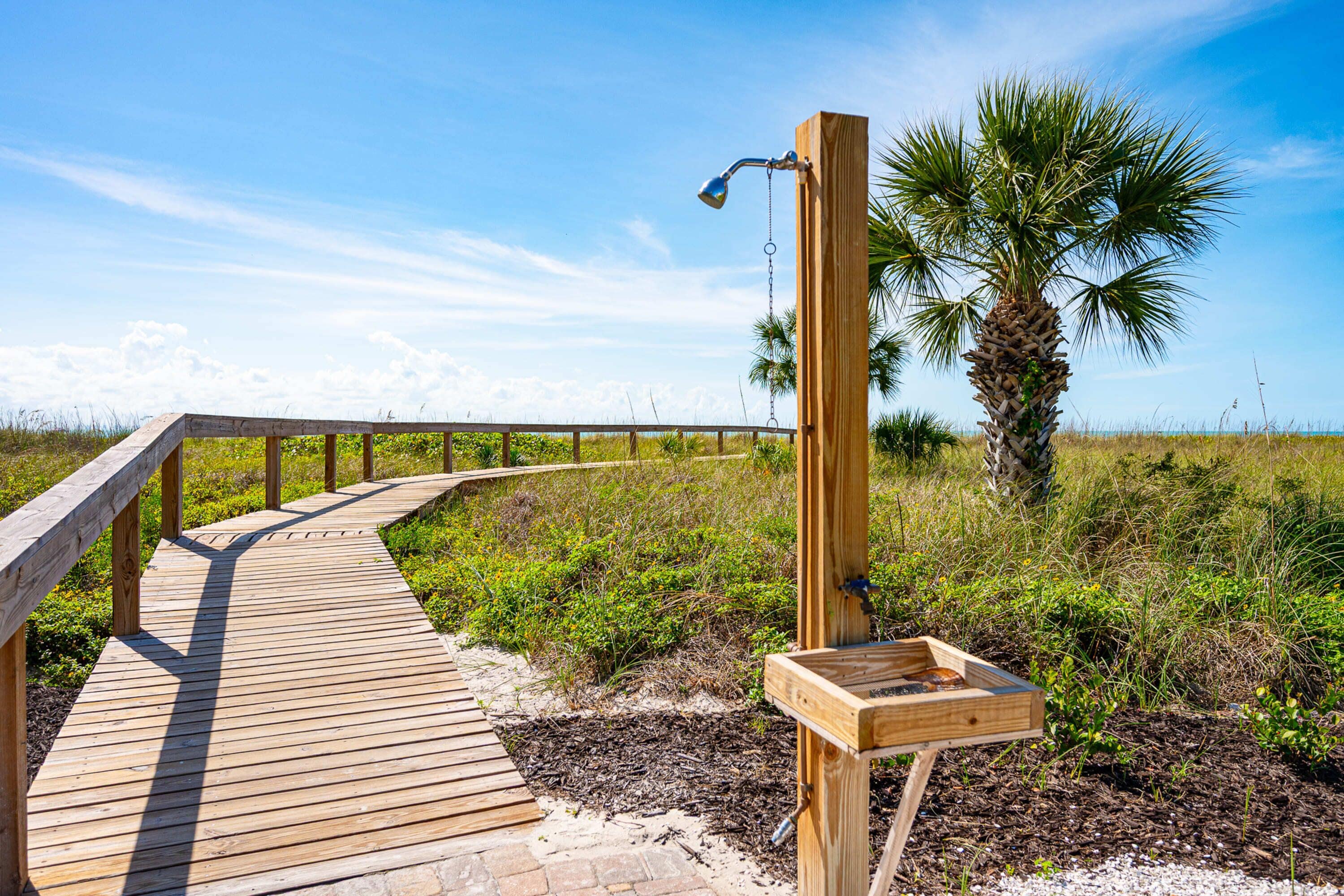 A wooden boardwalk leading to a wooden structure with a water spout, surrounded by natural vegetation and a palm tree.