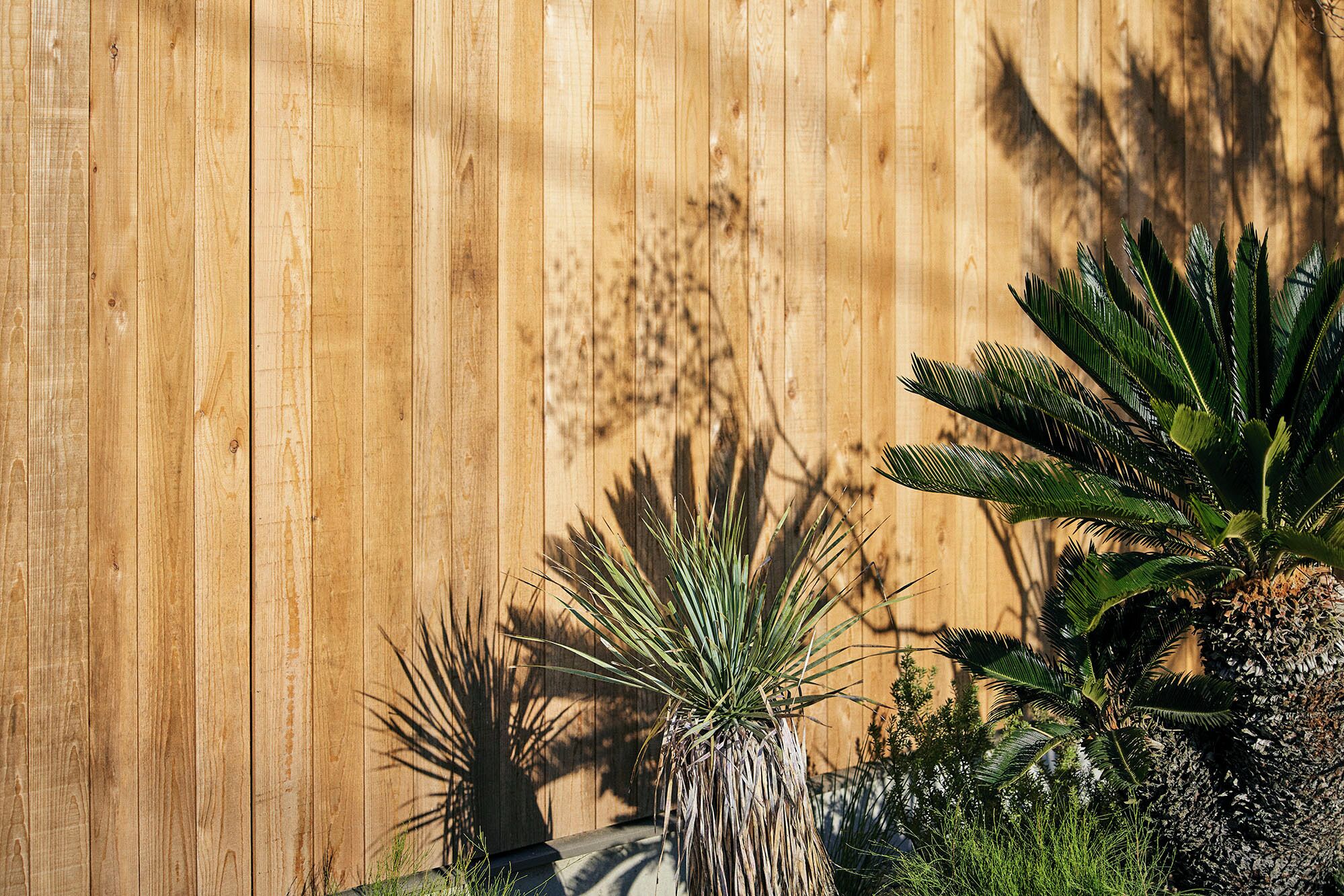 Pared de madera con sombras de plantas.