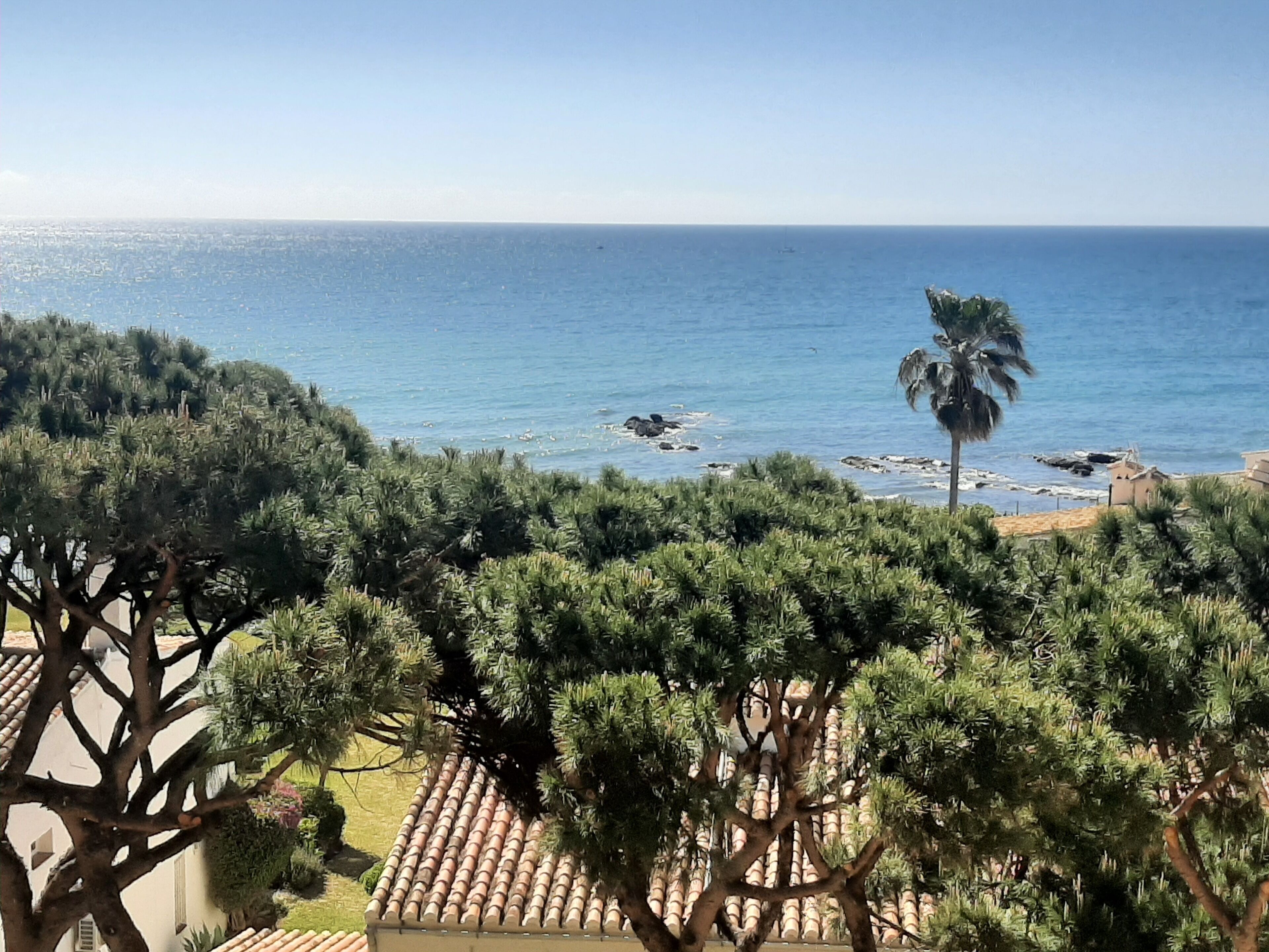 A coastal view with a clear sky, a palm tree, and a building with a tiled roof.