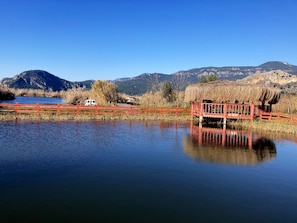 A calm lake with a red bridge and a white vehicle on the shore. - MedVillas Dalyan (Dalyan)