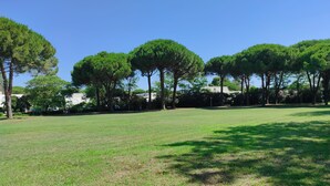 Un campo cubierto de hierba con árboles y cielo despejado.