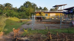 Property grounds - Min Land Resort (Pak Tho)