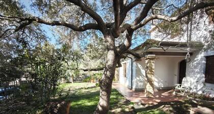 Villa Juniper, only 240mt from the sandy beach