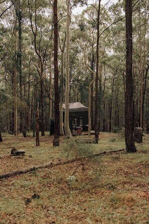 Property grounds - Tiny Robinson - Lake Macquarie (Wyee)