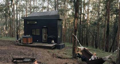 Tiny Robinson - Lake Macquarie