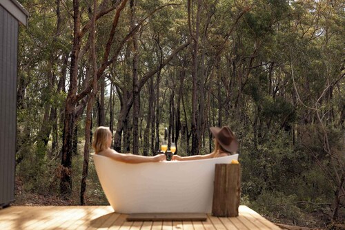 Tiny Phoebe - Southern Highlands