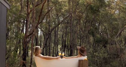 Tiny Phoebe - Southern Highlands