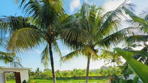 Uma piscina com espreguiçadeiras, rodeada por plantas tropicais e palmeiras.