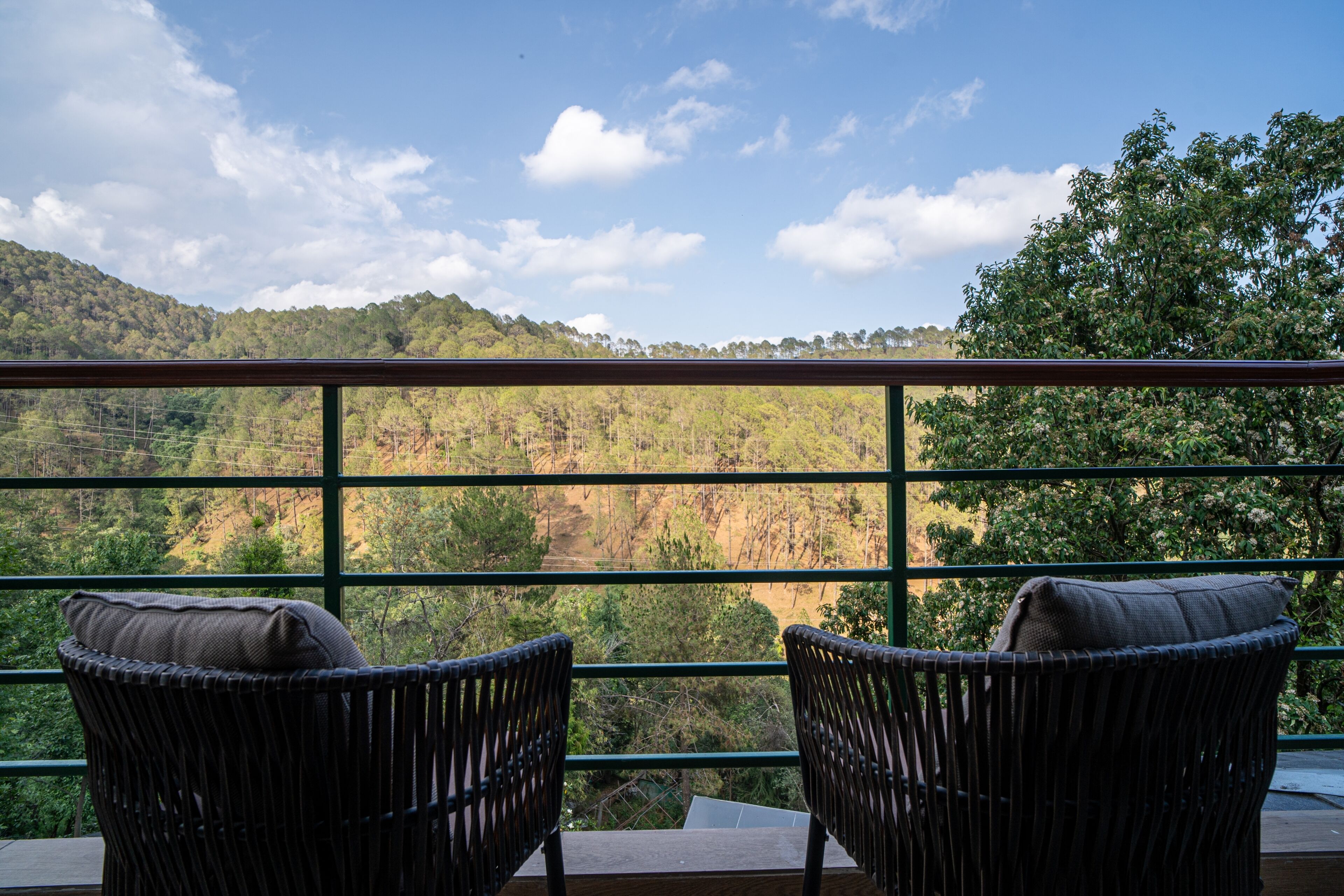 Pemandangan dari properti